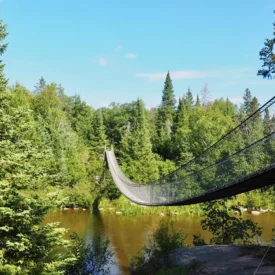 🌿 ICM End-of-Summer Gathering in Pinawa